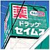 周辺：ドラッグセイムス足立扇店