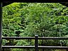 その他：ベランダより
