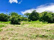 現地：約204.15坪ございます。自然環境豊かなこの地に理想の戸建をデザインしてください。
