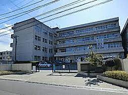 [周辺] 【中学校】松戸市立六実中学校まで1217ｍ