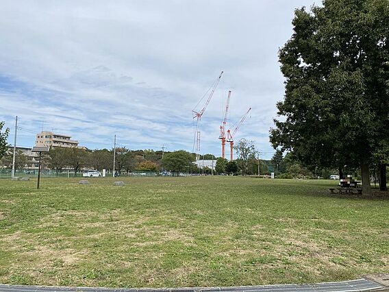 クローバー広場...