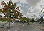 公園