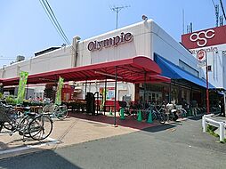 [周辺] オリンピック川崎鹿島田店まで680m、スーパーのほか、DIY用品やペット・靴・珈琲・自転車などの各種専門店が揃ったお買物便利なお店です。