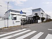 大川市立道海島小学校（729m）