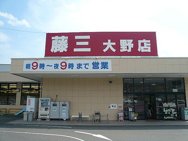 画像18:スーパー「藤三大野店まで877ｍ」