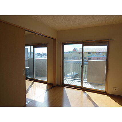 ジュエル白枝_その他_0