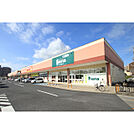 カワチ薬品土浦蓮河原店