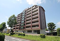 🉐敷金礼金0円！🉐スクロパレス河村