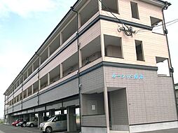ルーシッド仲沖