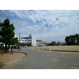 リヤン環水