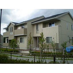 グランディール・シュシュ 203