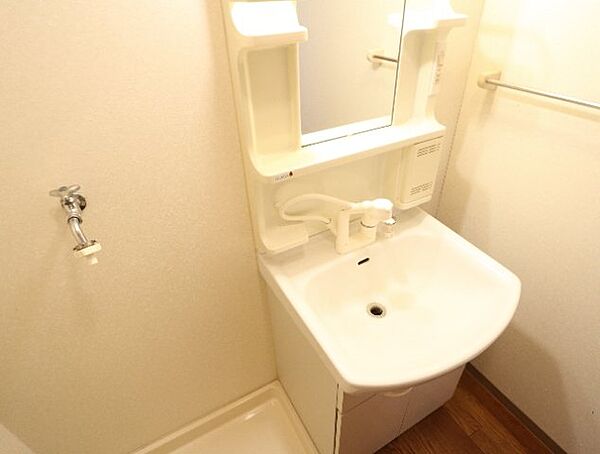 画像29:広い洗面スペース