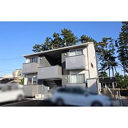 Joyeux(ジョワイユ） 202