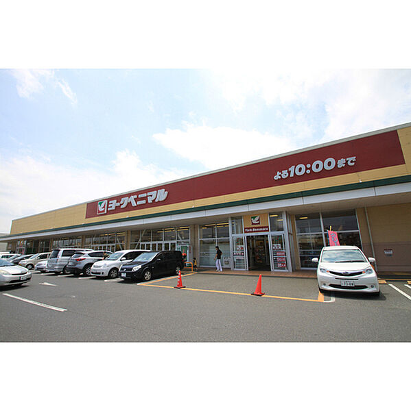 画像28:ヨークベニマル谷田部店