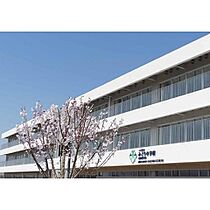 Life　city　桜(ライフシティサクラ)  ｜ 茨城県つくば市みどりの中央（賃貸アパート1LDK・1階・44.95㎡） その25