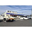 ローソン桜土浦インター店