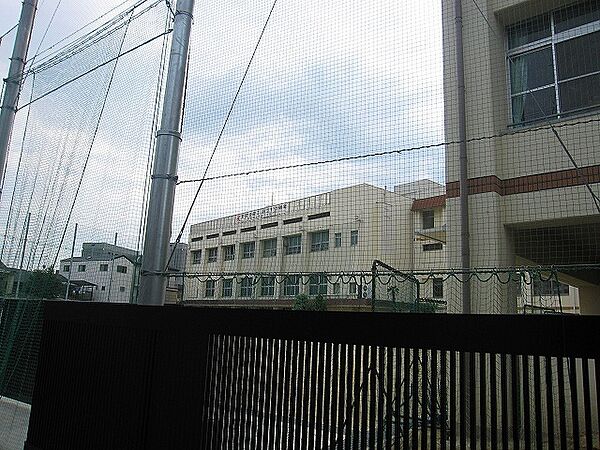 画像24:野田小学校 53m