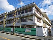 秦野小学校 584m