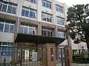 大阪市立新北野中学校 490m