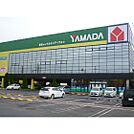 ヤマダ電機