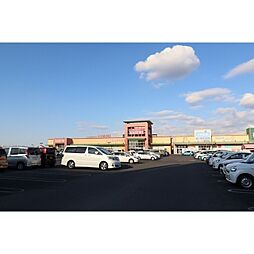 カスミフードスクエアみらい平駅前店