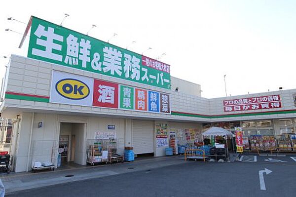 画像30:【スーパー】生鮮&業務スーパー ボトルワールドOK 平群椿井店まで486ｍ