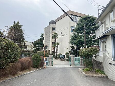 己斐小学校320m