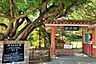 識名園 徒歩約13分（900ｍ）