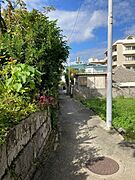 北側の前面道路（42条2項道路）