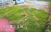沖縄県うるま市与那城屋慶名0丁目0番地：物件画像