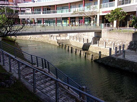 川沿い