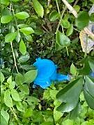 上水設置