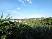 土地から見える景色です?