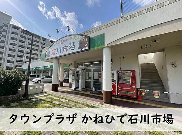 を拡大表示