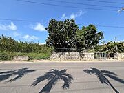 対象地道路対面側から撮影