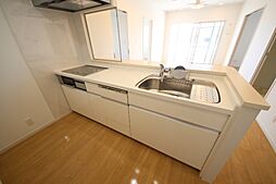 プレミアムコート比屋根の間取図画像