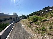 2025年6月撮影