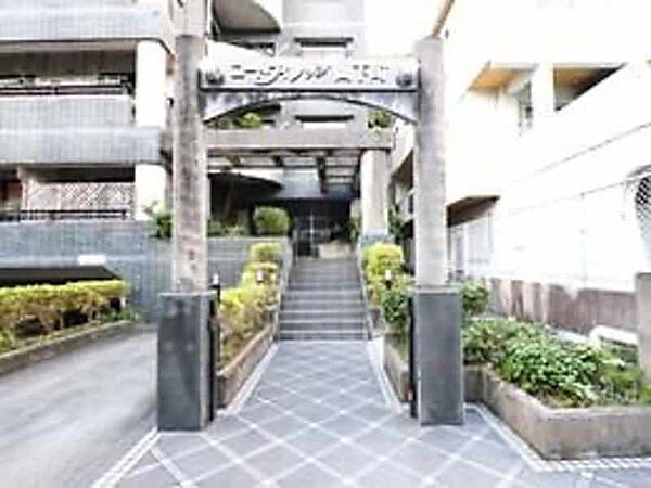 を拡大表示