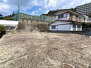 2025年3月撮影