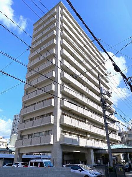 2024年12月撮影