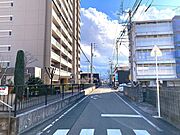 2026年1月撮影