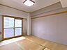 その他：2026年6月撮影
