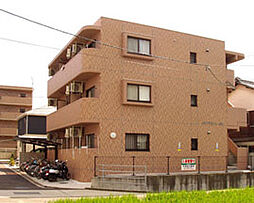 オレンジコートNII