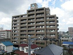 サーパス道後上市