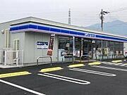【コンビニエンスストア】ローソン　新居浜田の上店まで916ｍ