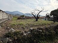 愛媛県西条市氷見丙：物件画像