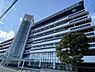 その他：【市役所・区役所】西条市役所まで237ｍ