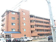 愛媛県新居浜市久保田町2丁目：物件画像／有限会社フジ宅建不動産