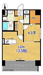 カルム.エス 5階1LDKの間取り