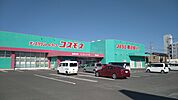 コスモス郡家店